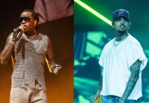 Gunna’s ‘WGFT’ Remix: Burna Boy Out, Chris Brown In