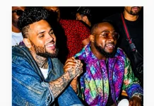 Davido & Chris Brown Joint Album Set for Release