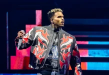 Trespasser Arrested at Chris Brown’s Home Over Alleged Arson Attempt