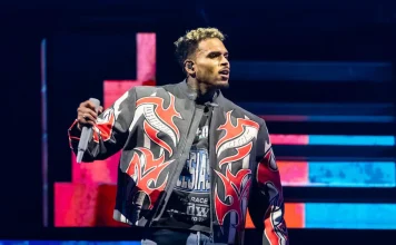 Trespasser Arrested at Chris Brown’s Home Over Alleged Arson Attempt