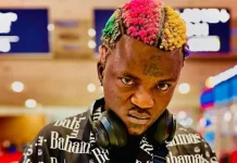 Portable: Olamide Gave Me a Verse, Davido Didn’t